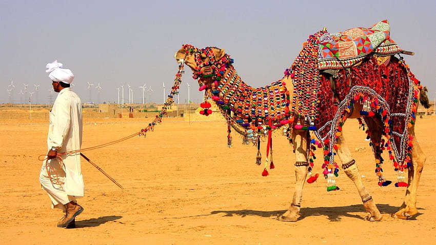 Vacation In Rajasthan